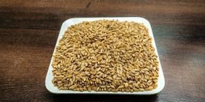 Wheat Seeds