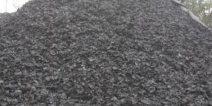 Coconut Shell Charcoal