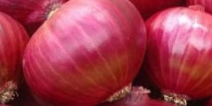 Red Onion