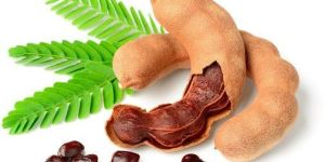 Seedless Tamarind