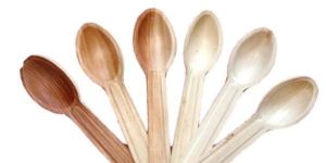 Areca Leaf Spoons