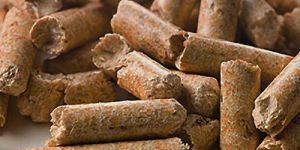 Biomass Pellet