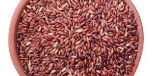 Poongar Red Rice
