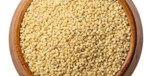 Proso Millet
