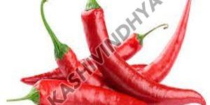 Fresh Organic Red Chilli