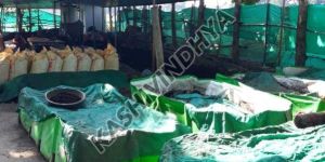 Neem Coated Vermicompost