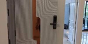 HDHMR Door and Frame