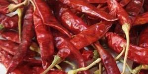 Dry Red Chillies