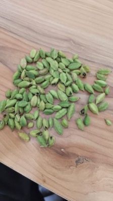 Cardamom Seeds