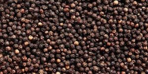 Black Pepper Seeds