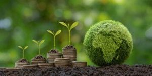 Esg Implementation & Assurance