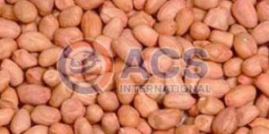 140/160 Java Groundnut Kernel