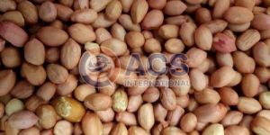 80/90 Java Groundnut Kernel