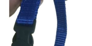 Dog Collar pp & Nylon Single Layer All SIZE