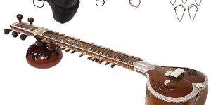 Student Sitar