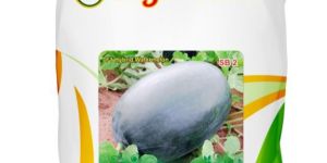 Sagar King Plus F-1 Hybrid Watermelon Seeds