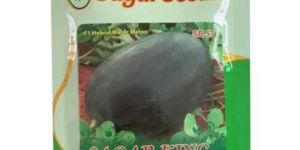 Sagar King SB-57 F1 Hybrid Watermelon Seeds