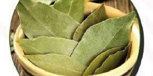 Bay Leaves