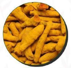 Turmeric Finger