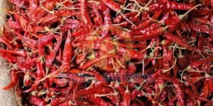 Dried Red Chili