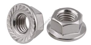Flange Nut