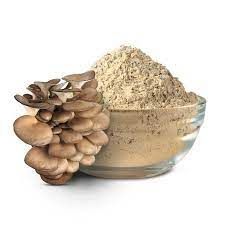 Oyster Mushroom Powder