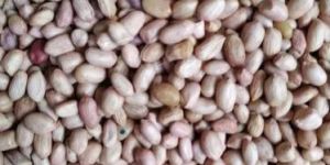 Natural Small Groundnuts