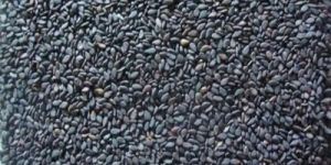 Raw Black Sesame Seeds