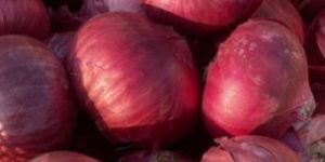 Red Onion