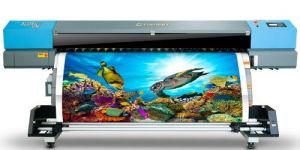 Eco Solvent Vinyl Printing Service