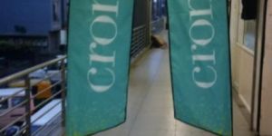Promotional Flag Banner