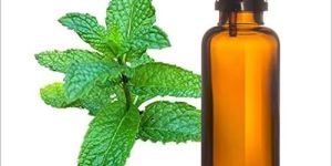 Mentha Oil