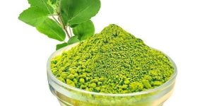Natural Tulsi Powder