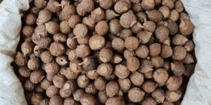 Organic Dry Soap Nut