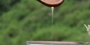 Organic Mad Honey