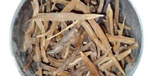 Organic Shatavari Root