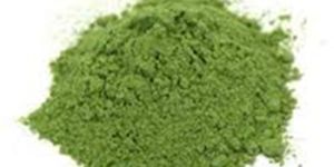 Organic Tulsi Powder
