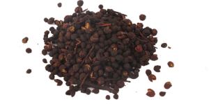 Timur Seeds