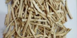 White Shatavari Root