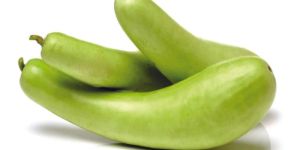 Bottle Gourd