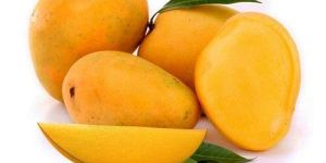 Fresh Alphonso Mango