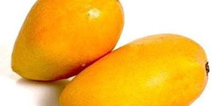 Fresh Badami Mango
