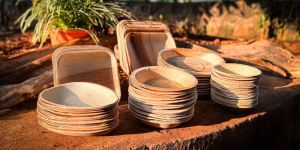 Areca Leaf Disposable Plates