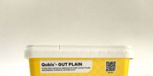 Gut Plain Surgical Needle Suture
