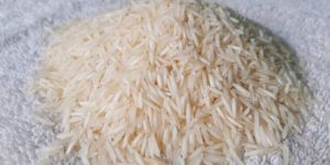 Polished Basmati Rice