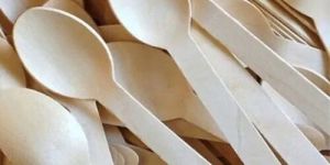 Disposable Wooden Spoon