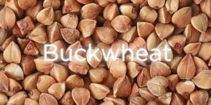 Buckwheat