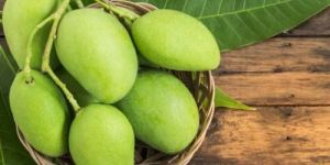 Raw Banganapalli Mango