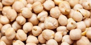 Raw Chickpeas