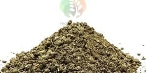 Groundnut Meal Extract